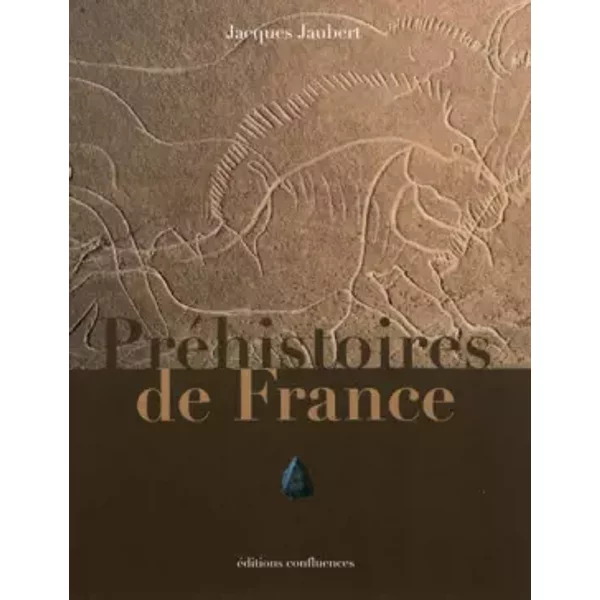 PREHISTOIRE DE FRANCE -1000.000 -7000 - JACQUES JAUBERT