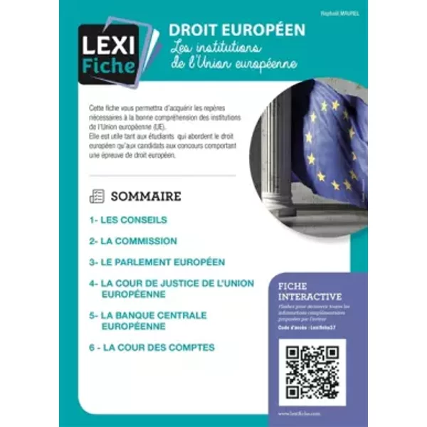 Droit EuropéEn, Les Institutions De L'union EuropéEnne - RaphaëL Maurel-image