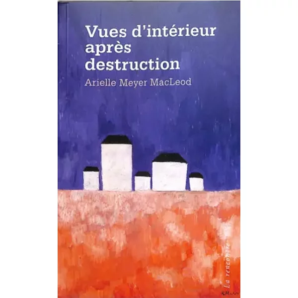 Vues d'intérieur après destruction - Arielle Meyer Macleod