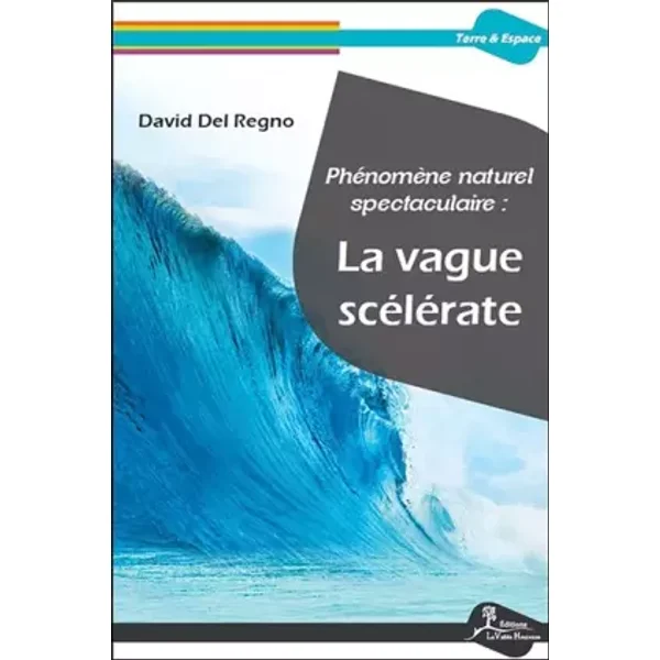 Phénomène naturel spectaculaire : La vague scélérate - David Del Regno