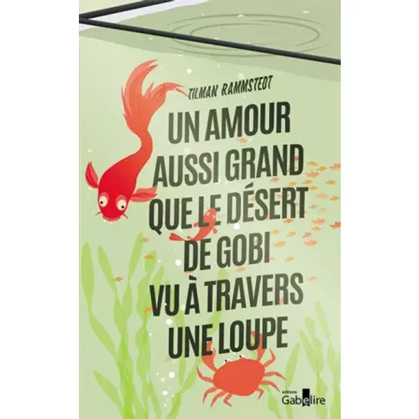 Un Amour Aussi Grand Que Le DéSert De Gobi Vu à Travers Une Loupe - Tilman Rammstedt-image