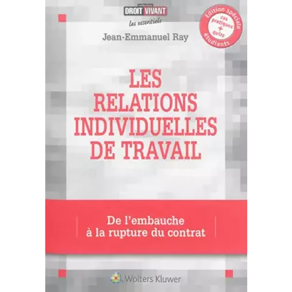Les Relations Individuelles De Travail : De L'embauche à La Rupture Du Contrat. - Jean-Emmanuel Ray-image
