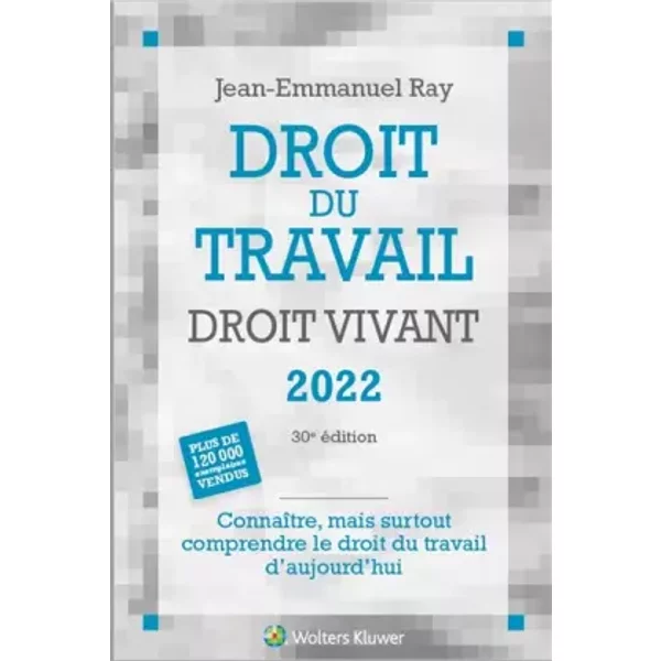 Droit du travail droit vivant 2022: Connaitre, mais surtout comprendre le droit du travail d'aujourd'hui - Jean-Emmanuel Ray