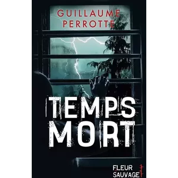 Temps mort - Guillaume Perrotte