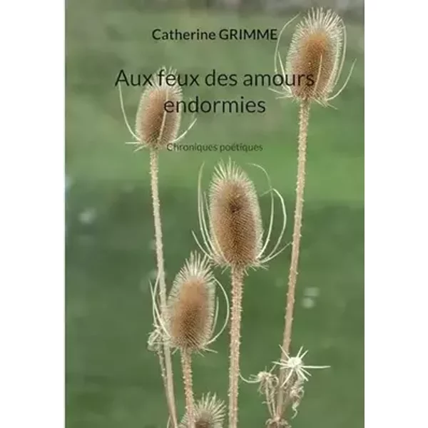 Aux feux des amours endormies: Chroniques poétiques - Catherine Grimme