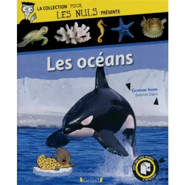 Pour Les Nuls PréSente Les OcéAns - Catherine Vadon, Delphine Zigoni Et Sylvain FréCon-image