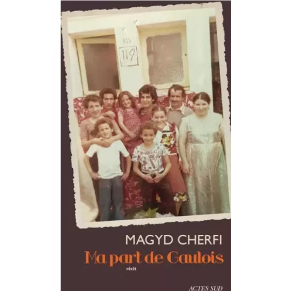 Ma Part De Gaulois - Magyd Cherfi-image