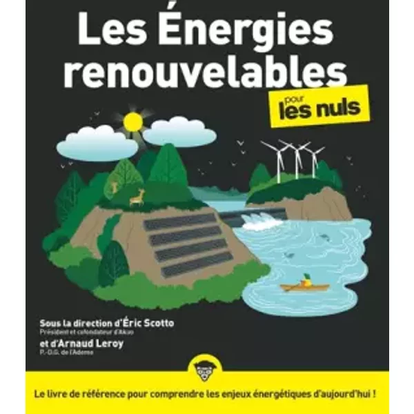 Les énergies renouvelables pour les Nuls, grand format