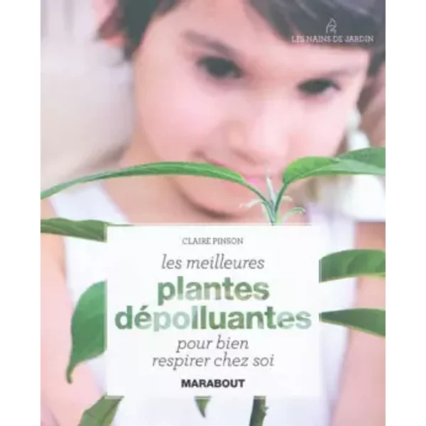 Les Meilleures Plantes DéPolluantes Pour Bien Respirer Chez Soi - Claire Pinson-image