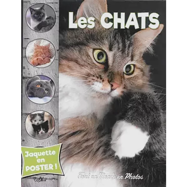 Les chats: Tout un monde en photos - Collectif