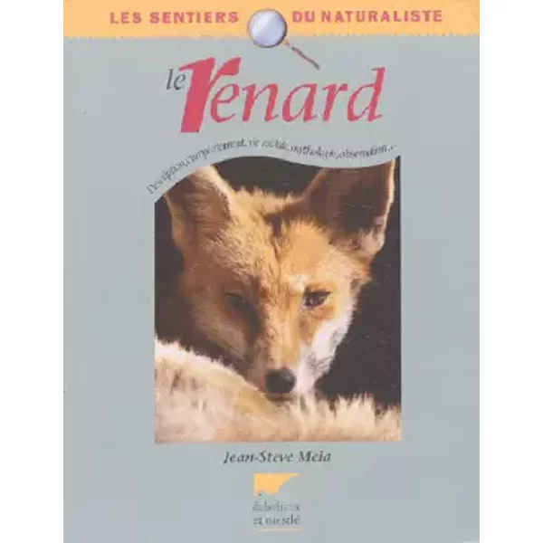 Le renard - Jean-Steve Meia