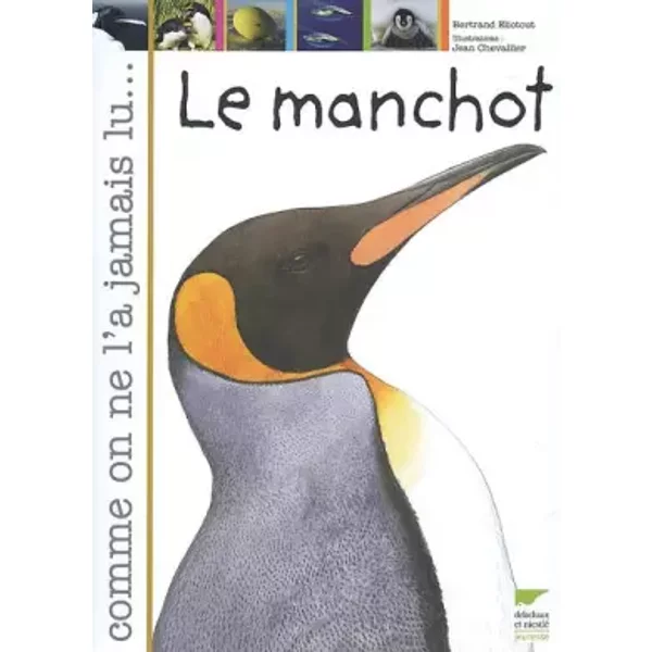 Le Manchot - Bertrand Eliotout, Jean Chevallier-image