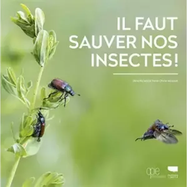 Il faut sauver nos insectes - Denis Richard