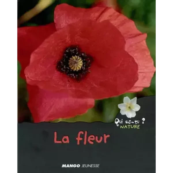 La Fleur - Violette Rennert-image