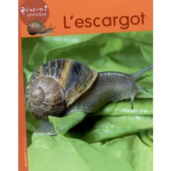 L'escargot - Vincent Albouy