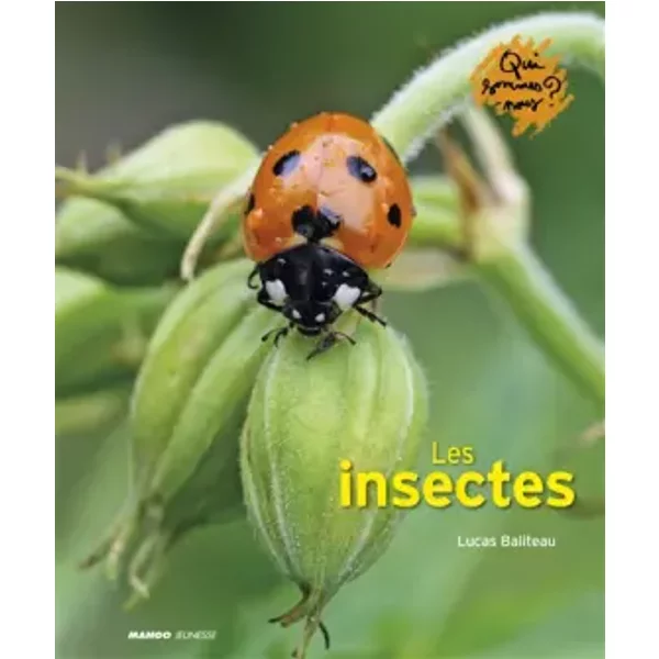 Les Insectes - Lucas Baliteau-image