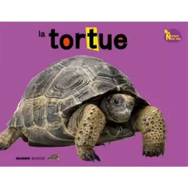 La Tortue - Dreaming Green, Hee-Jeong Yi, Yeong-Hee Lim, FrançOise Nagel, Sang-Hun Han-image