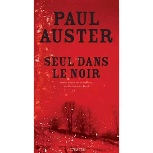 Seul Dans Le Noir - Paul Auster, Christine Le Boeuf-image