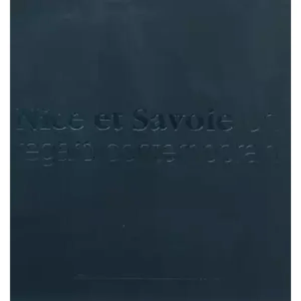 Nice et Savoie: Un regard contemporain - Maryline Desbiolles, Hervé Gaymard, Bruno Berthier, François Deladerriere