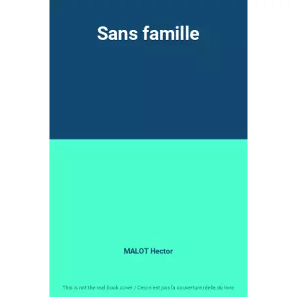 Sans Famille - Malot Hector-image