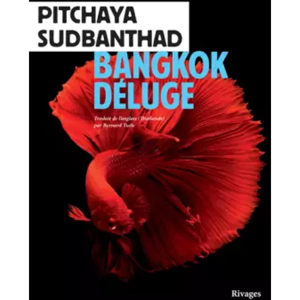 Bangkok Déluge - Pitchaya Sudbanthad, Bernard Turle