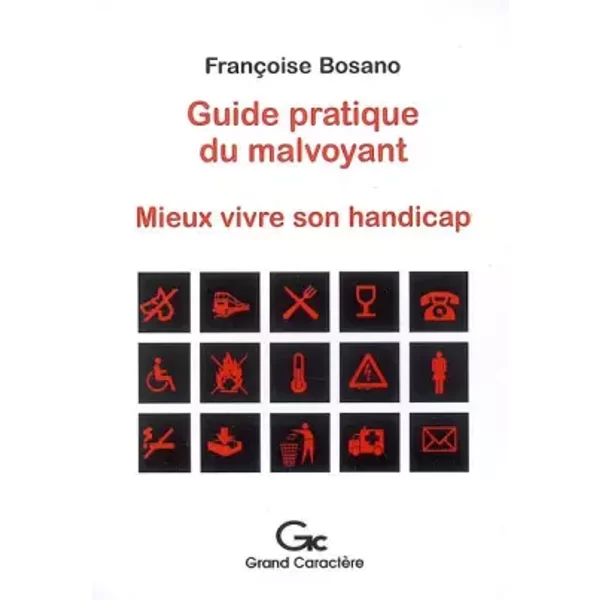 Guide Pratique Du Malvoyant : Mieux Vivre Son Handicap - FrançOise Bosano Et Anne Botella-image