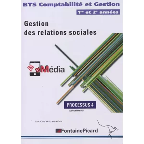 Gestion Des Relations Sociales Bts Cg 1Re Et 2E AnnéEs: Processus 4 - Luce Bouscarle, Jean Aldon-image