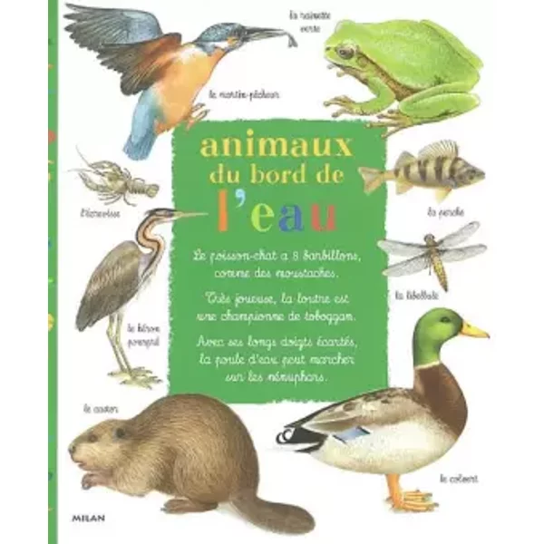 Animaux Du Bord De L'eau - Christian Havard Et Catherine Fichaux-image