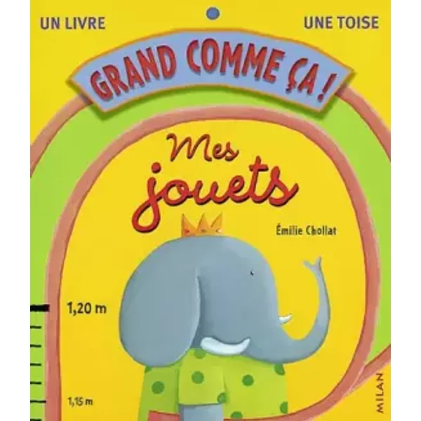 Mes Jouets - Emilie Chollat-image