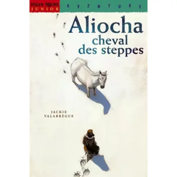 Aliocha, Cheval Des Steppes - Jackie ValabrèGue-image