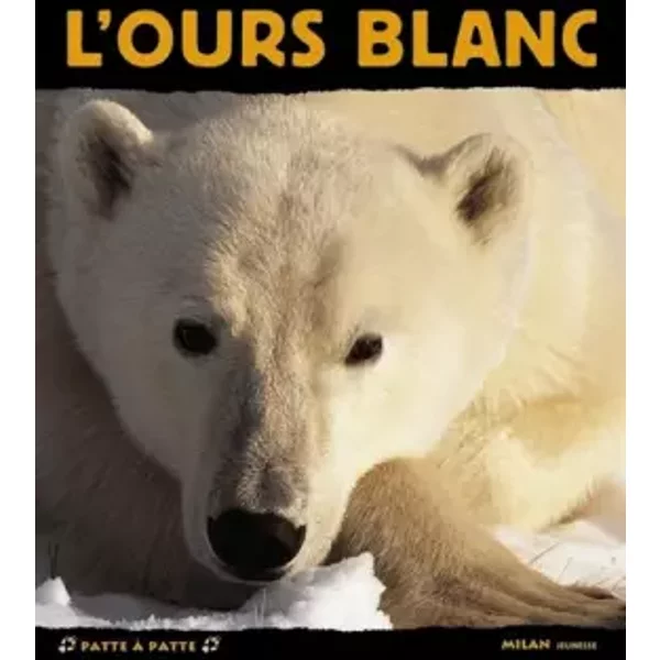 L'ours Blanc - ValéRie Tracqui-image