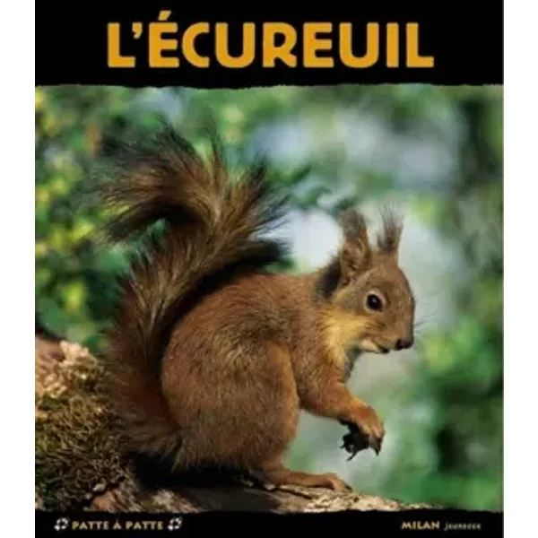 L'ÉCureuil - StéPhanie Frattini-image