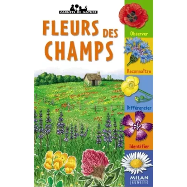 Les Fleurs Des Champs - Nicole Bustarret Et Nathalie Locoste-image