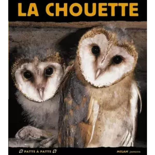 La Chouette - Jean-Louis ValléE-image