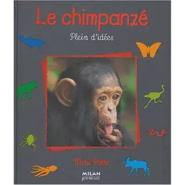 Le Chimpanzé - StéPhane Frattini-image