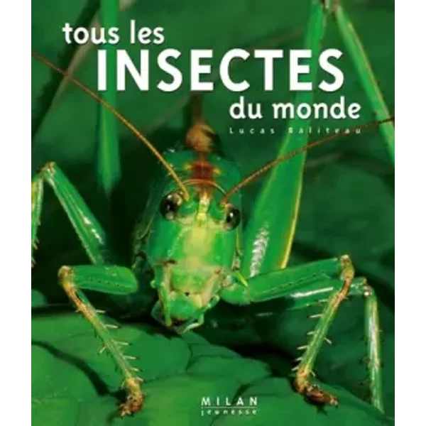 Tous Les Insectes Du Monde - Lucas Baliteau-image