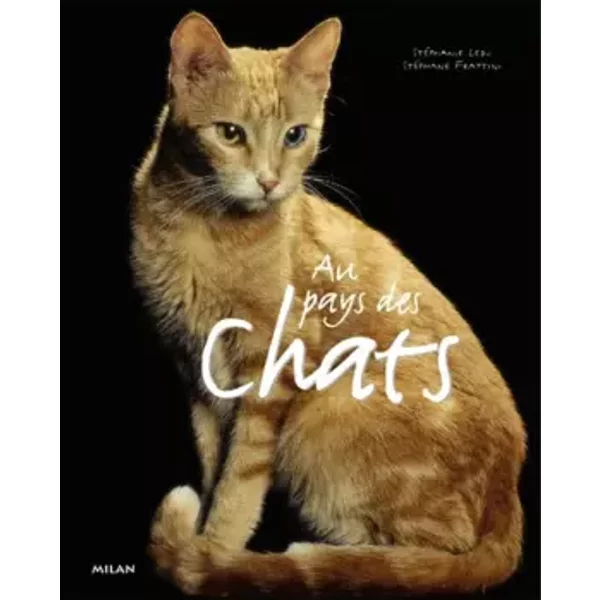 Au Pays Des Chats - StéPhanie Ledu Et StéPhane Frattini-image