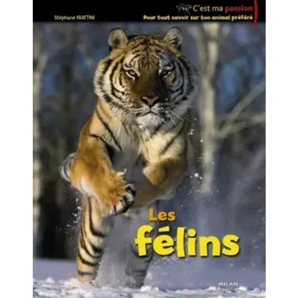 Les félins - Stéphane Frattini, Benoît Charles, Amandine Labarre