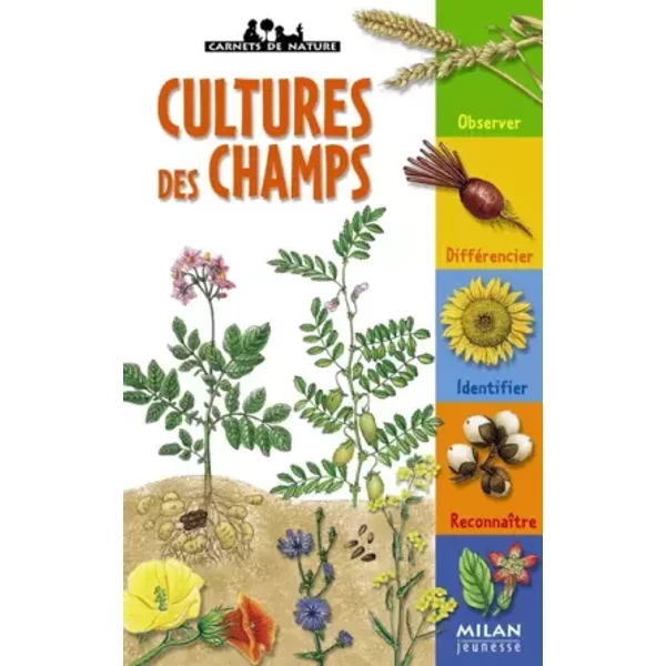 Culture Des Champs - Christian Marie-image