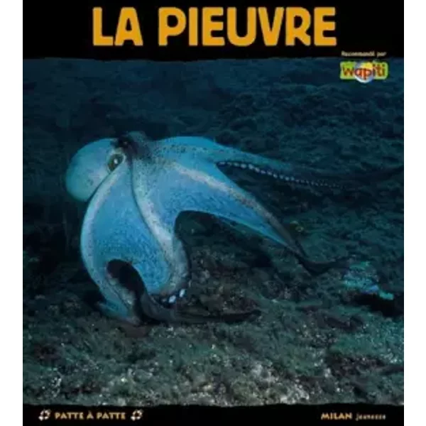 La Pieuvre - Patrick Louisy-image