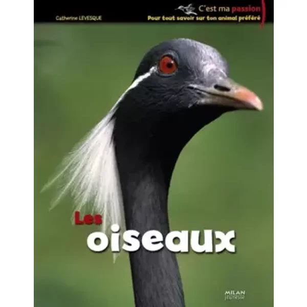 Oiseaux (Les) - Jean Grosson, Amandine Labarre, Catherine Levesque-image