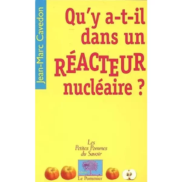 Qu'y A-T-Il Dans Un RéActeur NucléAire ? - Jean-Marc Cavedon-image