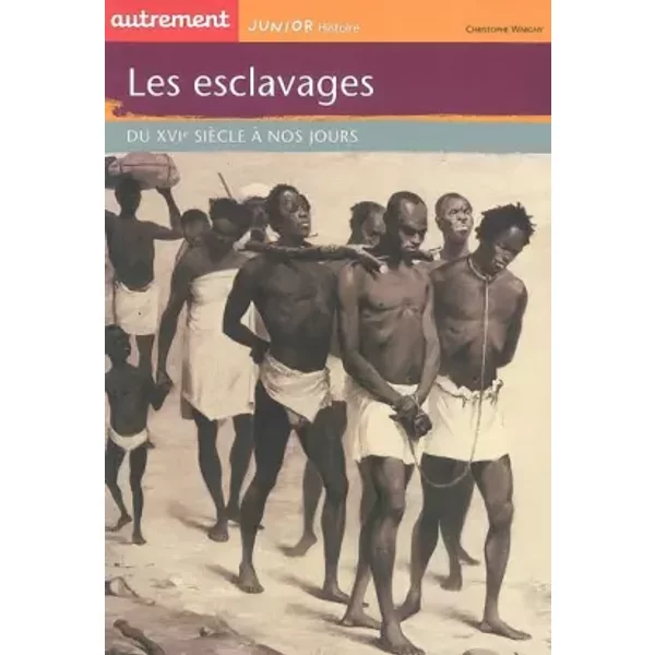 Les Esclaves : Du Xvie SièCle à Nos Jours - Christophe Wargny, Sophie Duffet-image