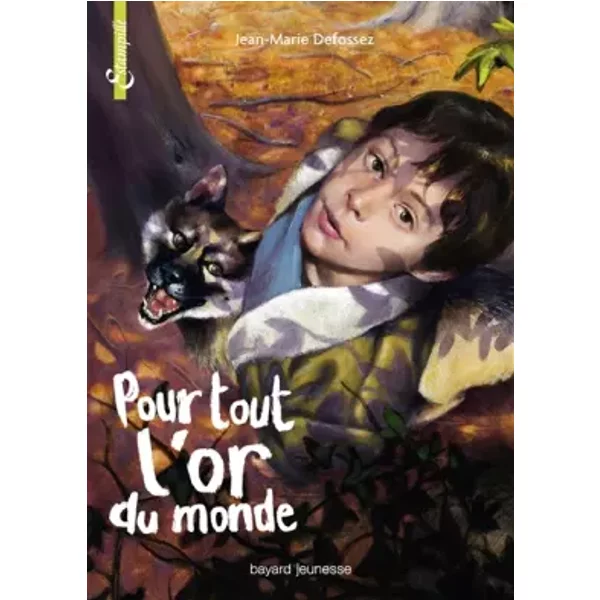 Pour Tout L'or Du Monde - Jean-Marie Defossez-image