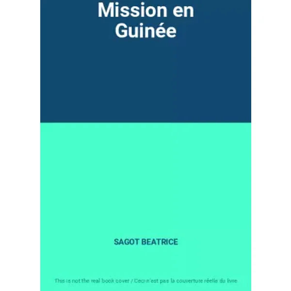 Mission en Guinée - SAGOT BEATRICE