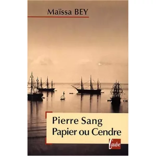 Pierre Sang Papier Ou Cendre - MaïSsa Bey-image
