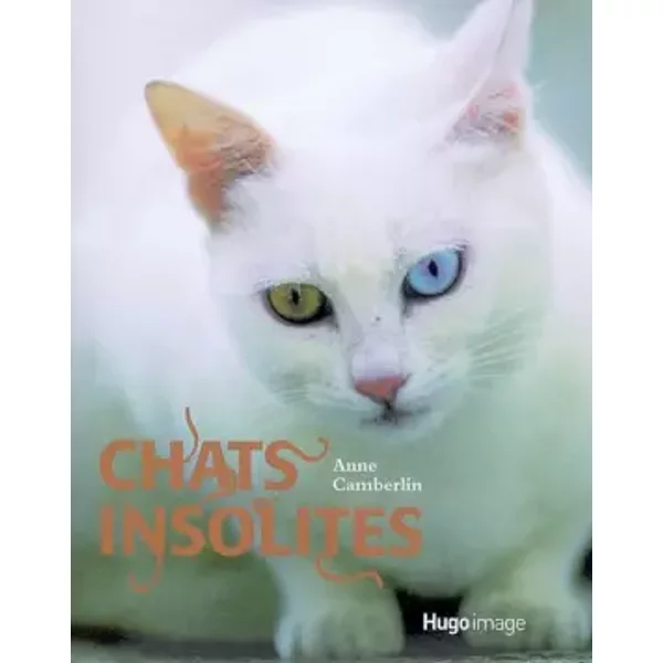 Chats Insolites - Anne Camberlin-image