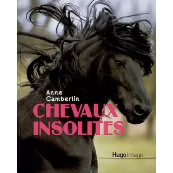 Chevaux Insolites - Anne Camberlin-image
