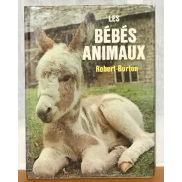 Les BéBéS Animaux - Collectif-image