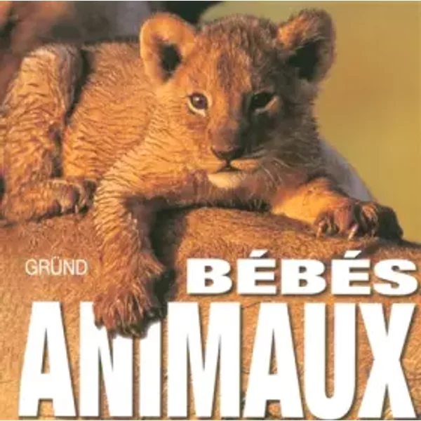 BéBéS Animaux - Angela-Serena Ildos, Collectif-image